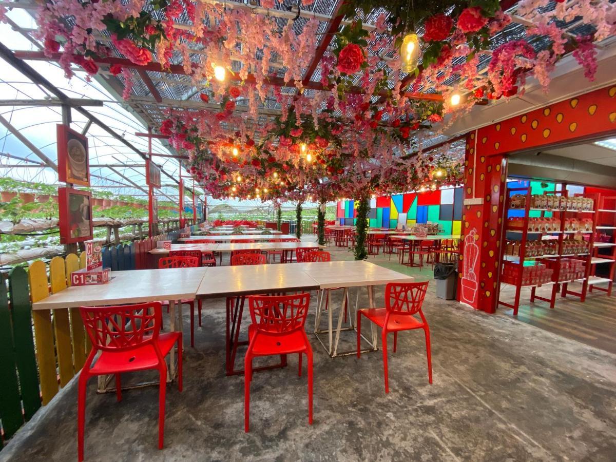 Aiza Homestay Opposite Abang Strawberry Taman Sedia Tanah Rata Exterior photo