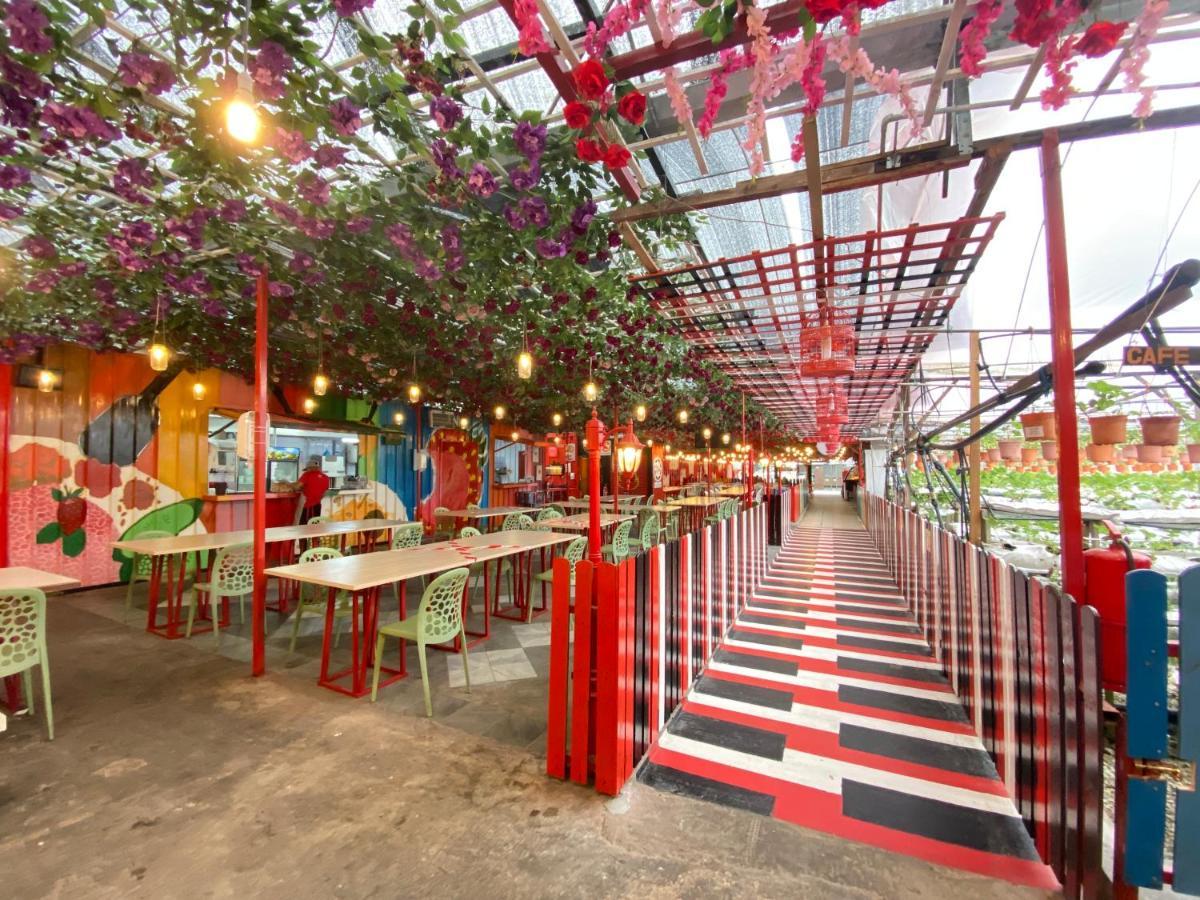 Aiza Homestay Opposite Abang Strawberry Taman Sedia Tanah Rata Exterior photo